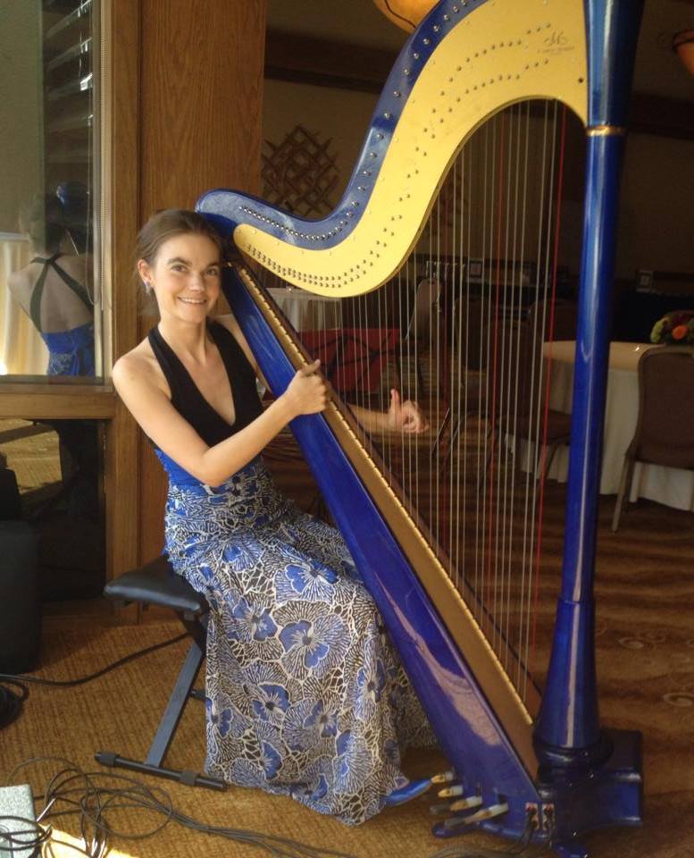 Electric harp music for corporate event
